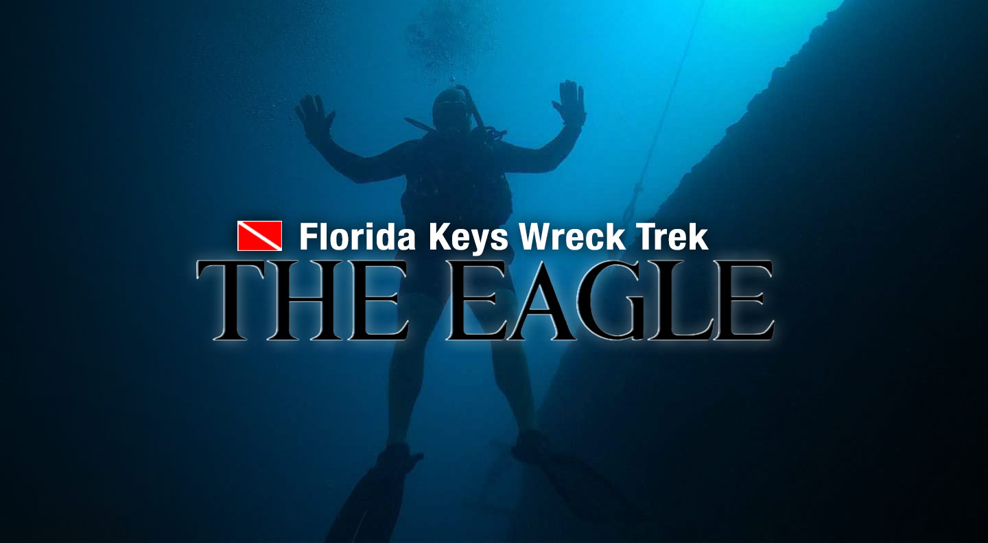 Diving the Eagle, Wreck Trek, Key Largo, Florida